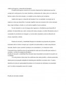 Análisis del negocio y desarrollo del producto