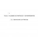 Algebra de matrices y determinantes