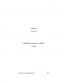 Identidad del campesino en Colombia