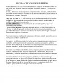 HECHO, ACTO Y NEGOCIO JURIDICO