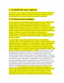 Resumen del Feminismo