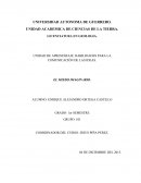 HABILIDADES PARA LA COMUNICACIÓN DE LAS IDEAS