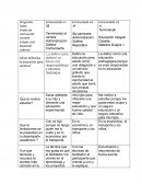 Entrevista andragogia