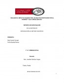 ANALIZAR EL IMPACTO CAUSADO POR LOS DELITOS PROPICIADOS POR EL INTERNET Y SUS CONSECUENCIAS