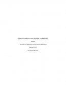 CAPACITACIÓN DE PREVENCIÓN DE RIESGOS A PERSONAL DE UN MALL