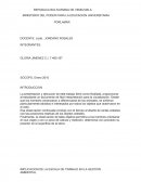 IMPLICACION DE LA ESCALA DE TRABAJO EN LA GESTION