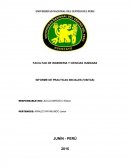 INFORME DE PRACTICAS INICIALES (VISITAS)