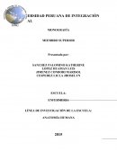 MONOGRAFÍA - MIEMBRO SUPERIOR