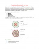 Propiedades Generales de los Virus