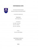 Trabajo Final Comportamiento Organizacional-Cultura Organizacional