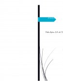 Pieles Azteca, S.A. de C.V