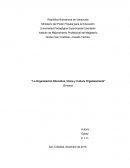 Ensayo Organización Educativa, clima y cultura