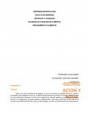Seminario DE ozonización