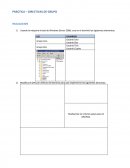 PRÁCTICA – DIRECTIVAS DE GRUPO