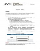 En esta actividad deberás realizar una nueva encuesta similar a la efectuada en la Actividad