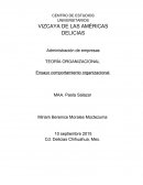 Ensayo comportamiento organizacional