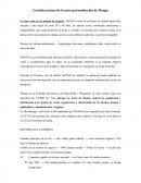 Consideraciones Internacionales Mango