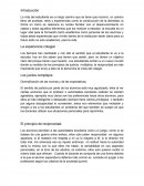 Educacion.La experiencia colegial