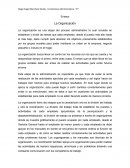 Ensayo La Organización