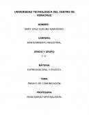 UN ENSAYO DE LA COMUNICACIÓN