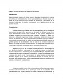 Impacto del entrono en la toma de decisiones