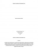 Cuales son los Derechos humanos