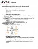El Cuestionario segundo parcial examen de Ergonomía y Seguridad Industrial
