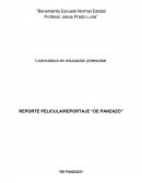 Reporte "De panzazo"