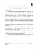 ENSAYO EMPRENDEDORES ¿NACEN O SE HACEN?