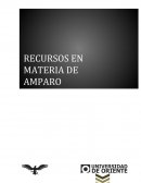 RECURSOS DE AMPRAO 2 ¿Qué se entiende por recurso?