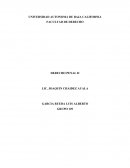 UN DERECHO PENAL ELEMENTOS DE TIPOS PENALES