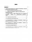 Caso TACNA indice solo