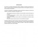 ENSAYO ¿Por qué algunas personas son brillantes a la hora de decidir y otras son tan torpes una y otra vez?