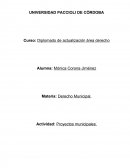 Derecho municipal. Proyectos municipales.