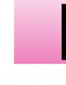 ANÁLISIS FODA VICTORIA’S SECRET