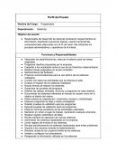 Responsabilidades de un programador