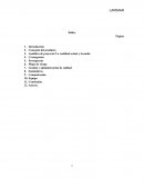 PLAN DE NEGOCIOS LARIMAR