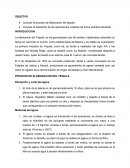 Produccion de tequila