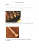 FABRICACION DE TORNILLO