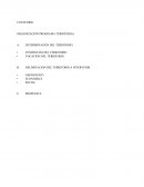 Organizacion Programa Territorial