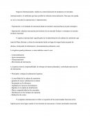 Cadenas Globales. Negocios Internacionales