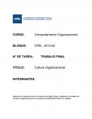 CULTURA ORGANIZACIONAL Y SISTEMAS DE VALORES SOCIALES