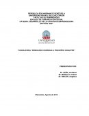 Proyecto desarrollo de la cap. emprendedora.