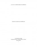 Cual es la mejor Forma de Gobierno