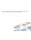 El ambiente organizacional.