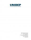 QUE ES LA ESTRUCTURA ORGANIZACIONAL.