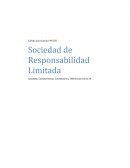 Sociedad de Responsabilidad Limitada Concepto, Características, Constitución y Diferencias con la SA