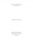 ENSAYO: HISTORIA DE UNA ESCALERA