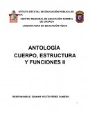 Metabolismo basal, procesos energéticos y actividad física