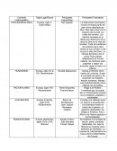 Corrientes Historiográficas.